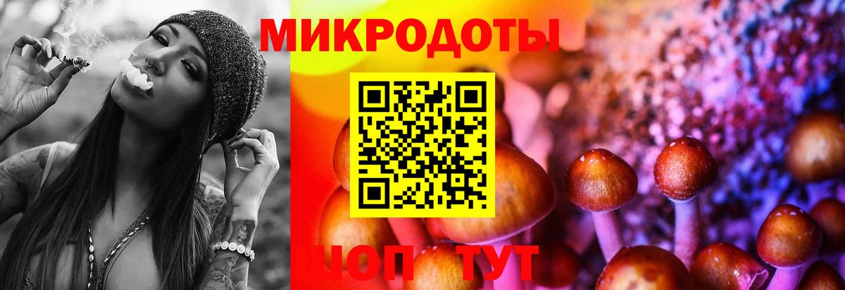 Галлюциногенные грибы Magic Shrooms Заволжье